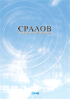 �p���t���b�g�i�p��Łj�i�ʃE�B���h�E�j
