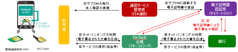 実験内容