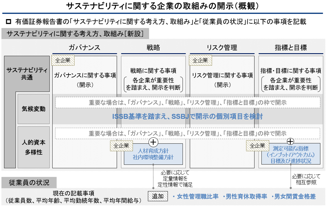 サステナビリティに関する企業の取組みの開示(概観)