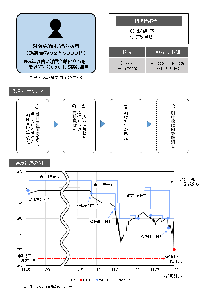 概要図